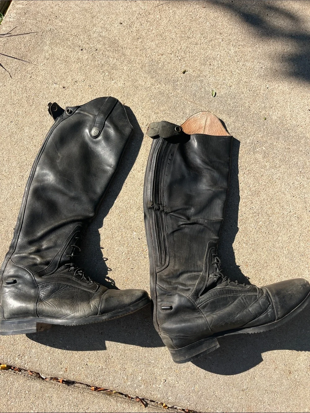 Mountain Horse classic black